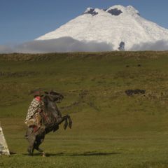 Los chagras, los auténticos vaqueros andinos