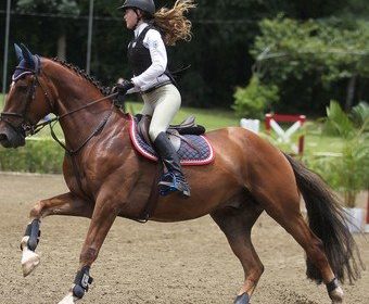 Montar a caballo: 12 beneficios para el cuerpo y la mente